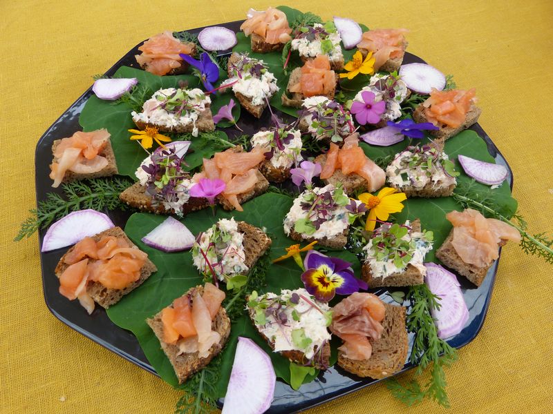 Dégustations truite et aromates