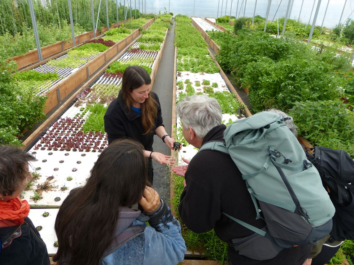 Visite ferme aquaponique AgroSymbiose