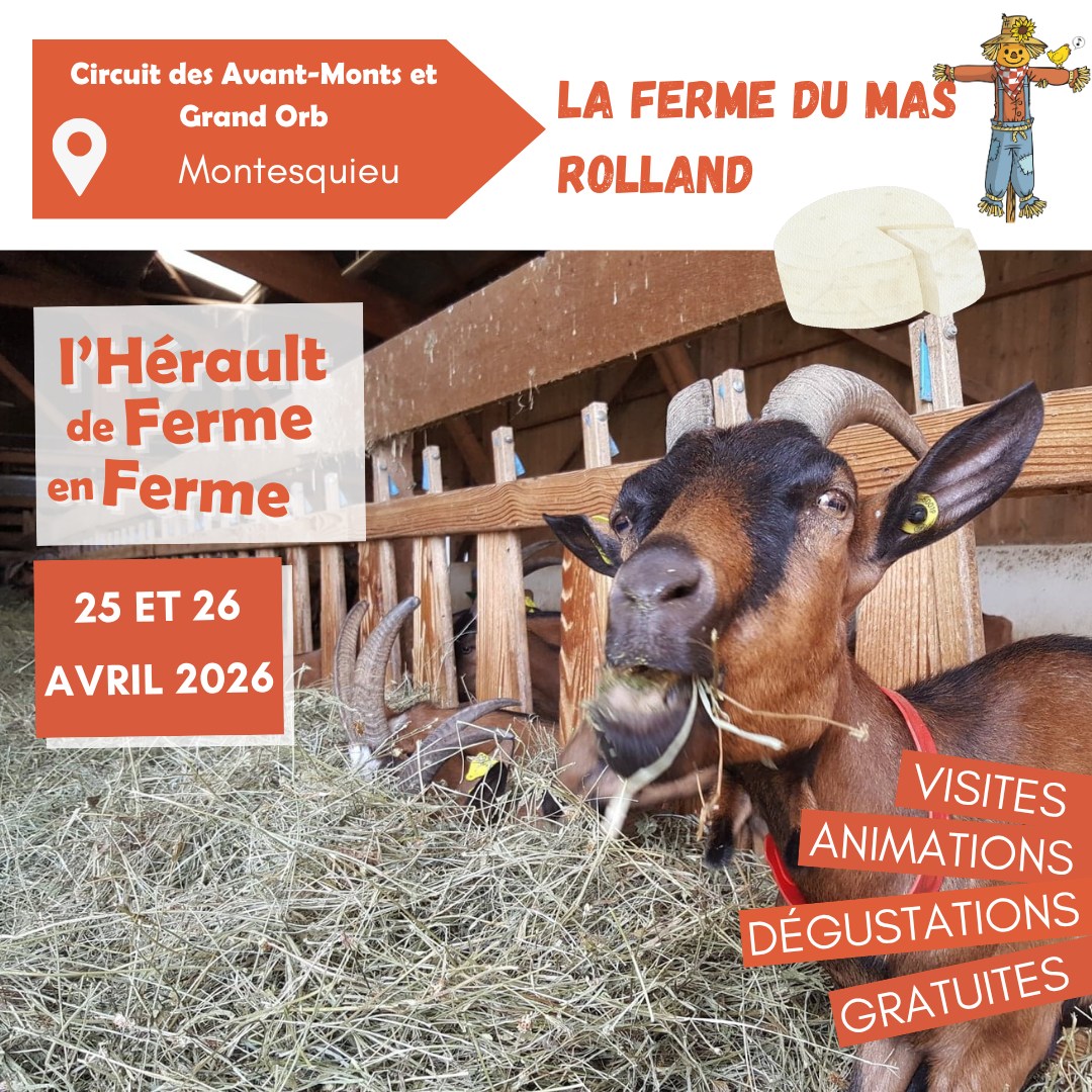 DFF2026 Ferme du mas Rolland