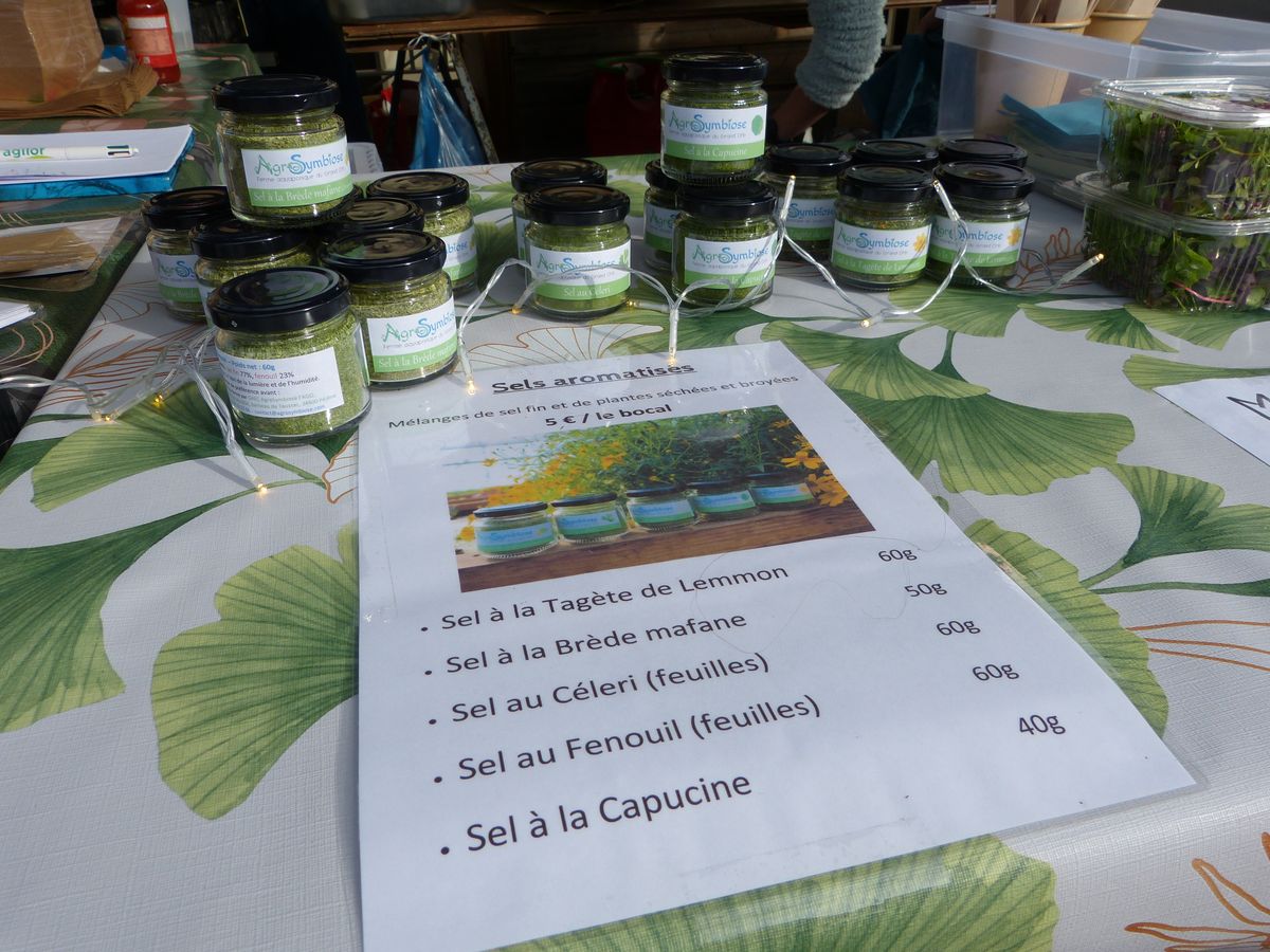 Marchés de Noël 2025