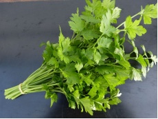 Persil plat