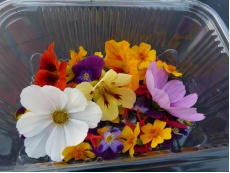 Mix fleurs comestibles