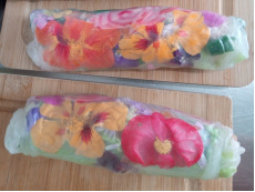 Lot de 2 rouleaux de printemps truite fumée