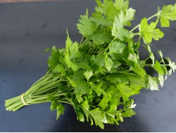 Persil plat