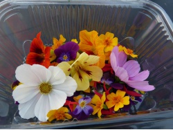 Mix fleurs comestibles