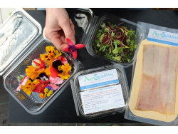 Pack "Toasts Simple"