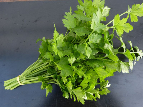 Persil plat