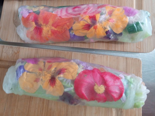 Lot de 2 rouleaux de printemps truite fumée