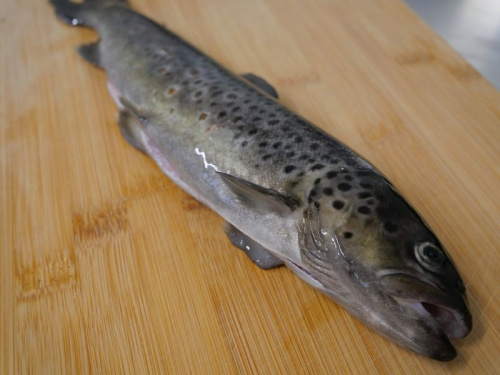 Truite portion Fario éviscérée
