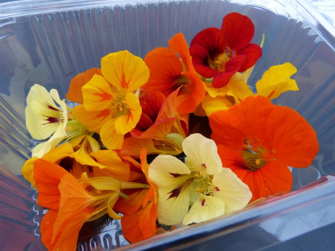 Capucine (fleurs)