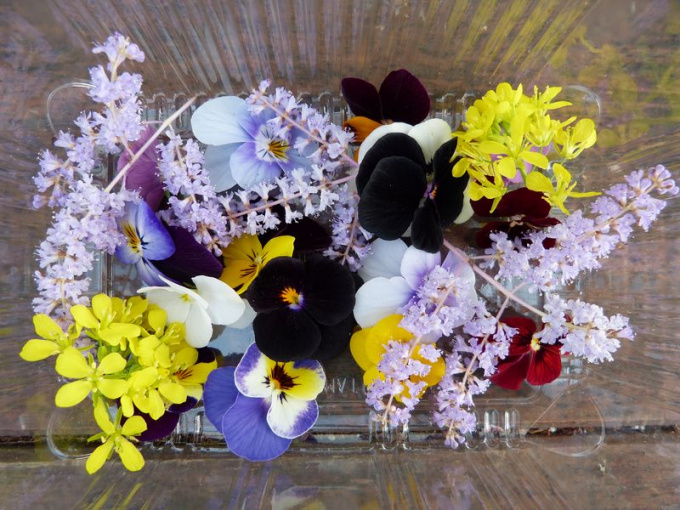 Mix fleurs comestibles