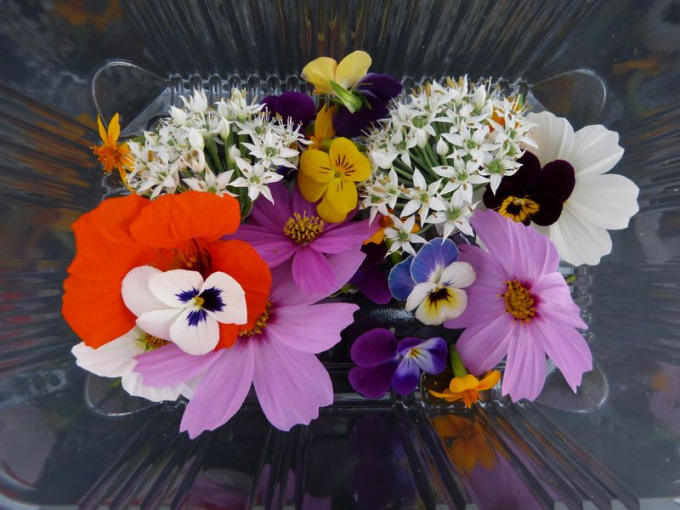 Mix fleurs comestibles