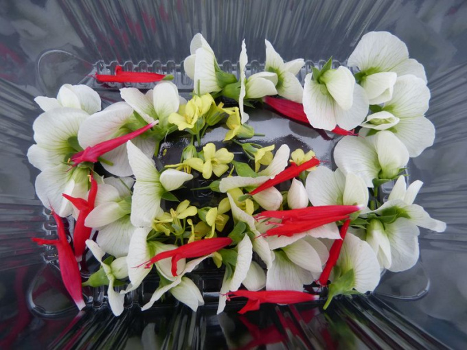 Mix fleurs comestibles