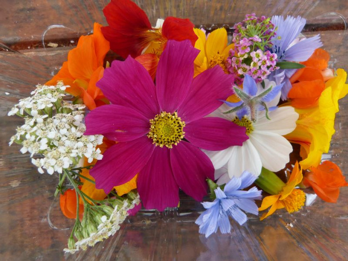 Mix fleurs comestibles