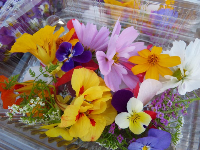 Mix fleurs comestibles