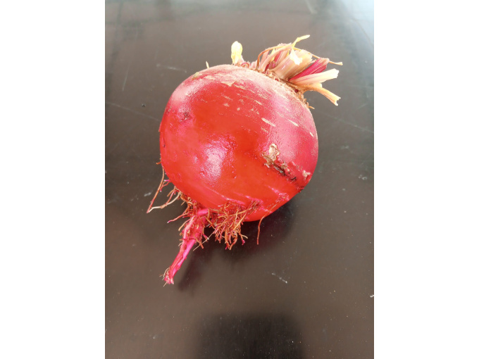 Betterave Chioggia