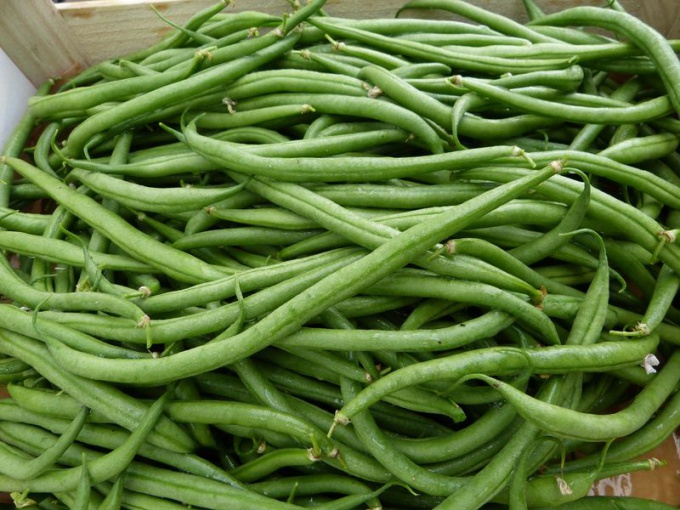 Haricot vert