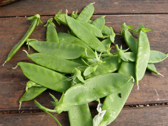 Pois mangetout
