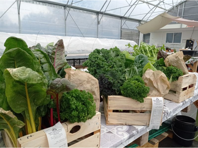 Panier légumes et aromates de saison