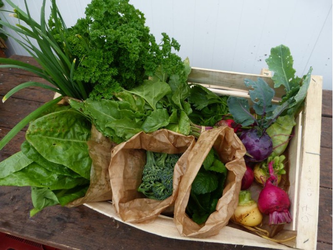 Panier légumes et aromates de saison