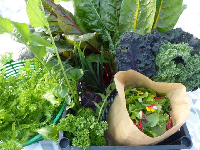 Panier légumes et aromates de saison