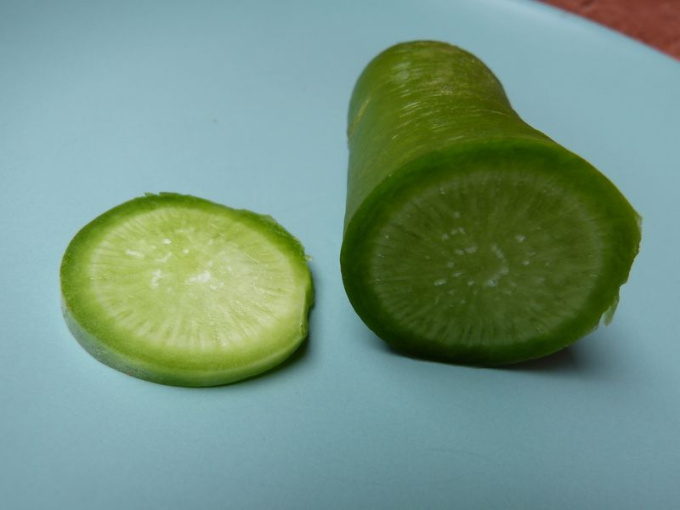 Radis asiatique vert