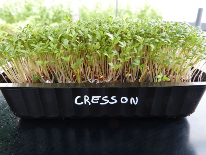 Cresson