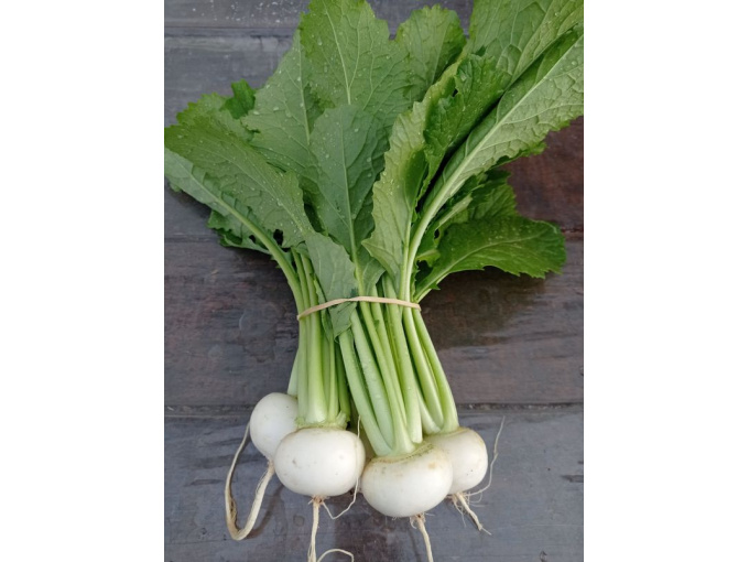 Mini navet blanc