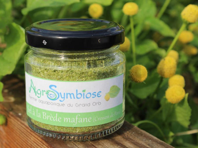 Sel à la Brède mafane