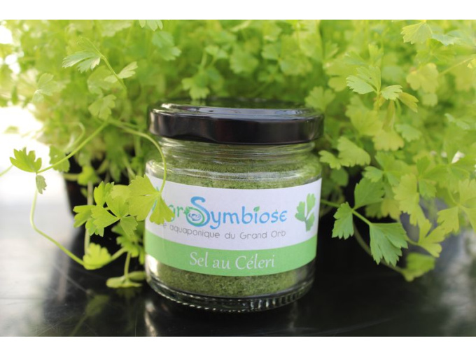 Sel au Céleri