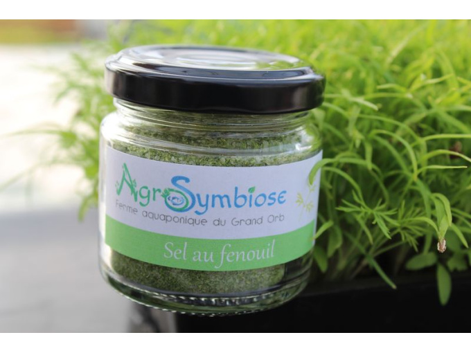 Sel au Fenouil