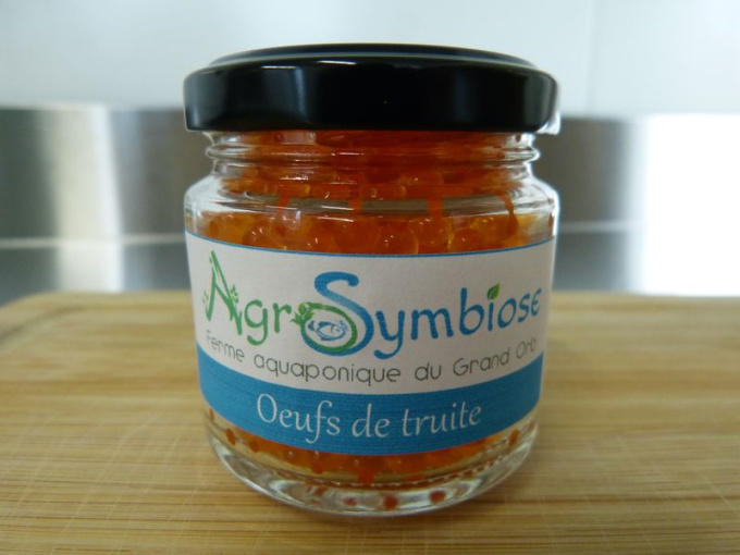 Oeufs de truite préparés