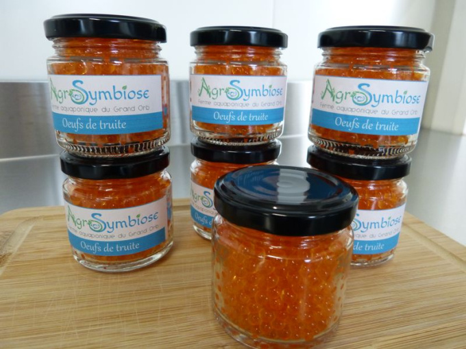 Oeufs de truite préparés